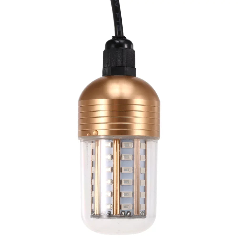 Night Lamp LEDs Fish Attracting 30W Carevas Fishing Fish Submersible Bait Cord 60 Underwater Squid with Finder -60V