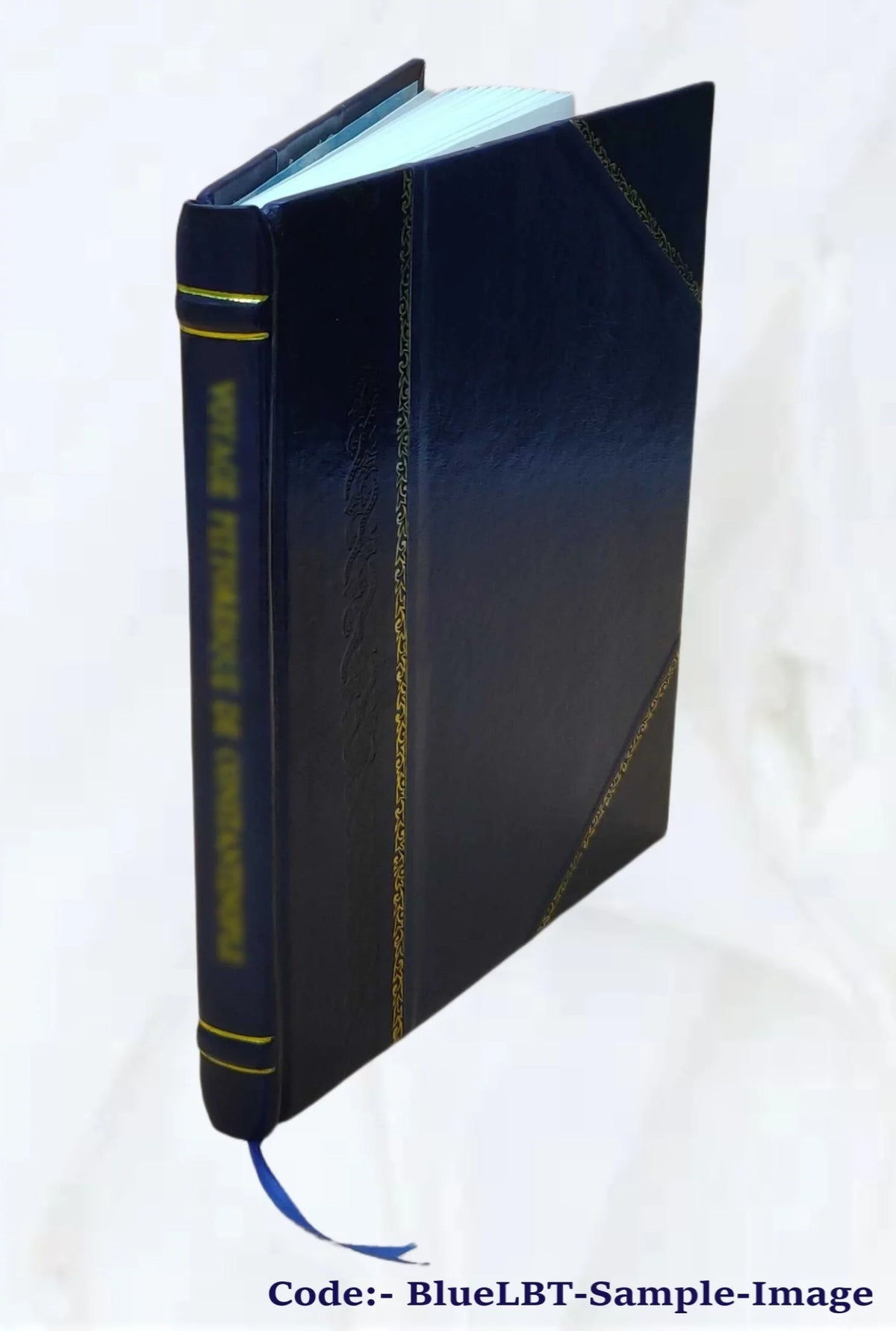 1926 And Bound] Creation [Leather Evolotion