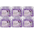 Absorber Lavender Beads BEGONE Scent Odor Gel SMELLS Control Vanilla Air Odor Freshener 12oz 6-Pack