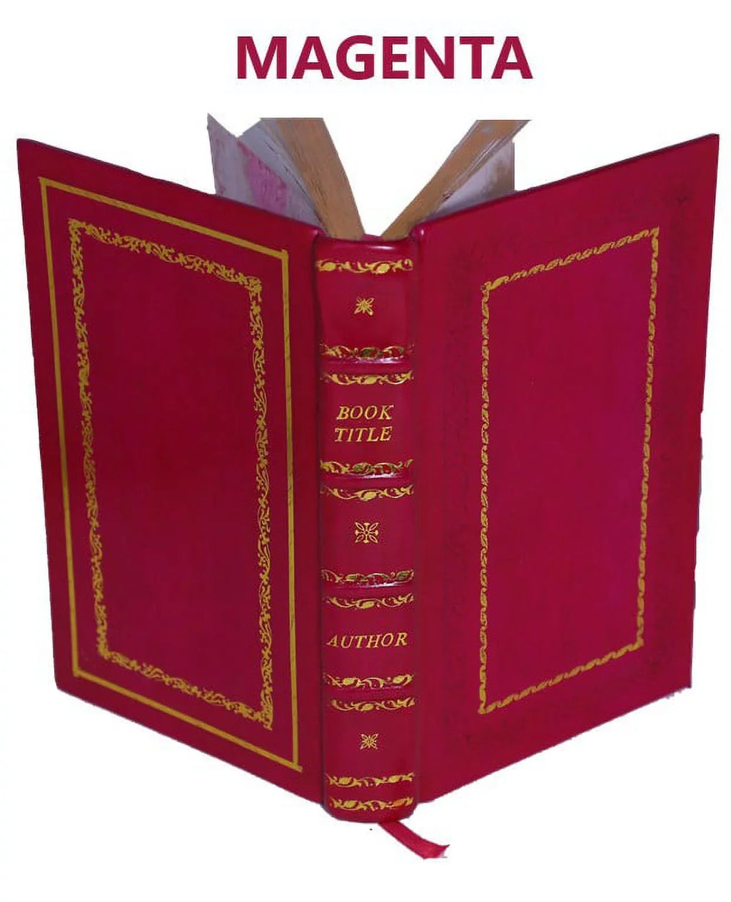 di breuissimamente ha antichita raccolte scritto [Premium da della citta Le Leather Bound] 1558 Roma chiunque