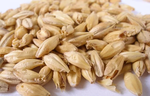 Ale Malt Pale lb 10